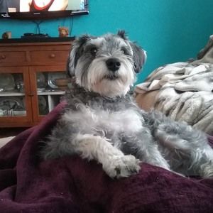 Meet your Posher, Nancy